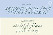 The Rowdy Waves| Coastal handwritten, a Handwritten Font by Setara Langit CreativeStd (Thumbnail 11 of 12)