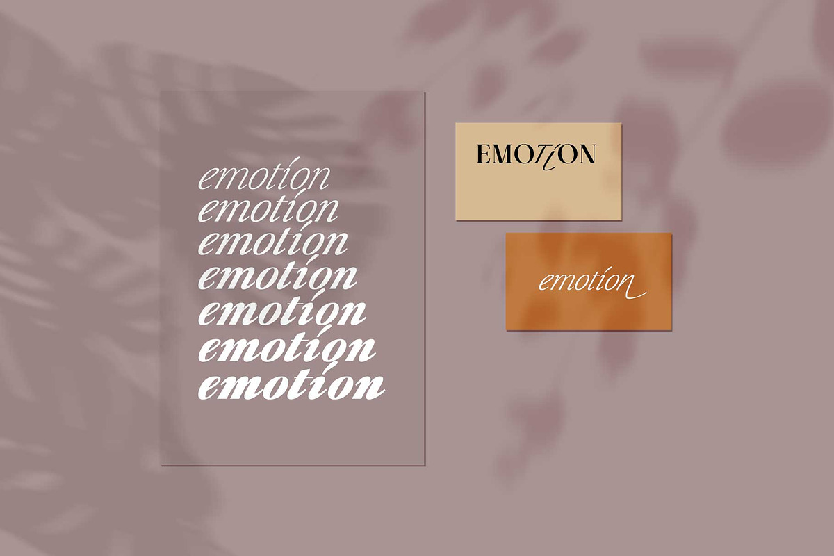 Liliane Classe Serif Font Family, a Serif Font by Ryul Davidson (Photo 15 of 21)