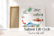 Watercolour Salmon Life Cycle Set, an Education Illustration by Tati Bordiu (Thumbnail 1 of 4)