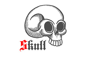 Vintage Engraving Skull