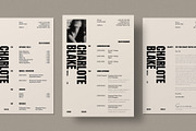 Professional CV, Resume Template, a Resume Template by DesignCrest (Thumbnail 5 of 9)