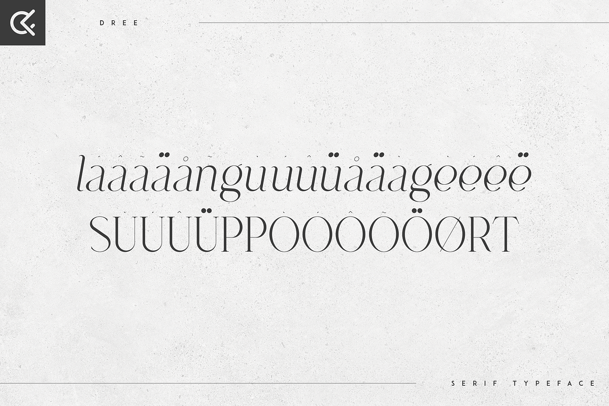 Dree serif typeface - 6 fonts, a Serif Font by Only Fonts (Photo 9 of 10)