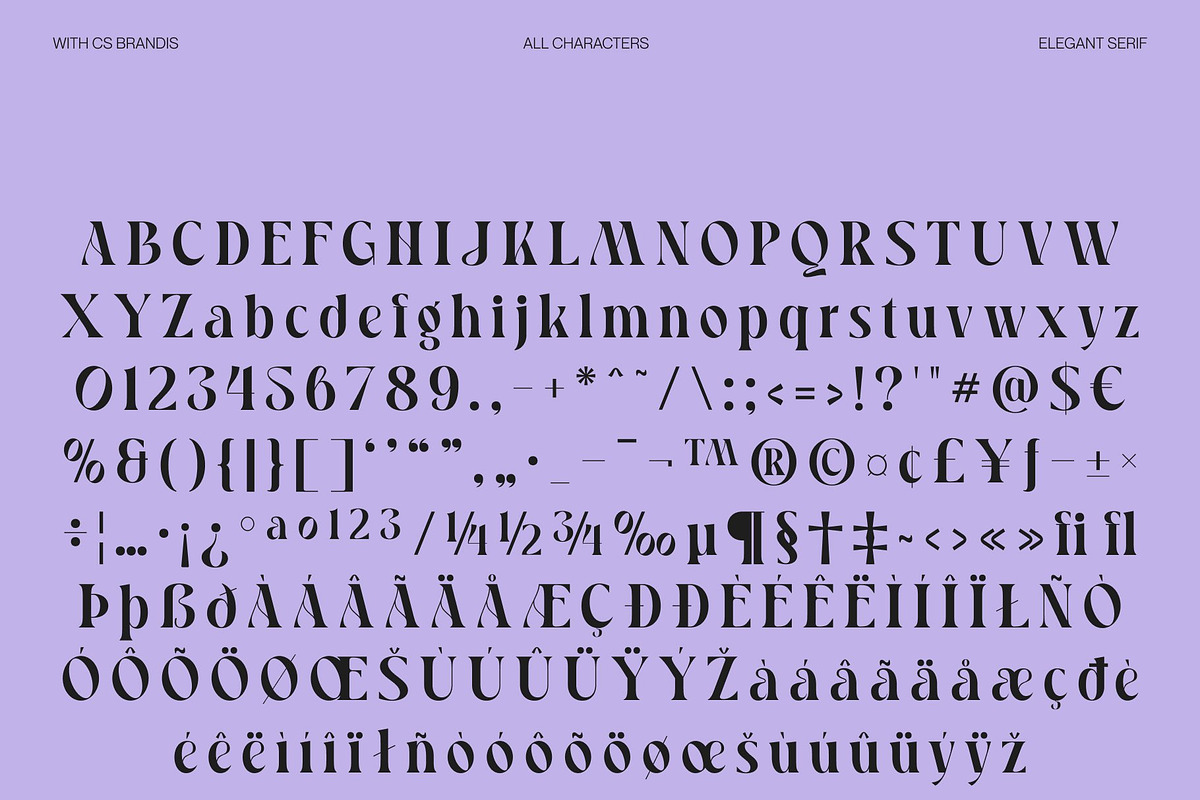 CS Brandis – Modern Serif Font, a Serif Font by Craft Supply Co. (Photo 8 of 8)