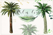 Palm tree. Watercolor clipart., an Illustration by LABFcreations (Thumbnail 4 of 5)