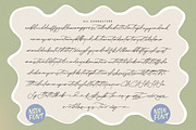 Midnight Classic Elegant Script Font, a Script Font by stylishtype.co (Thumbnail 15 of 16)
