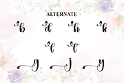 Shabby | Script Font, a Handwritten Font by Scratchones (Thumbnail 8 of 9)