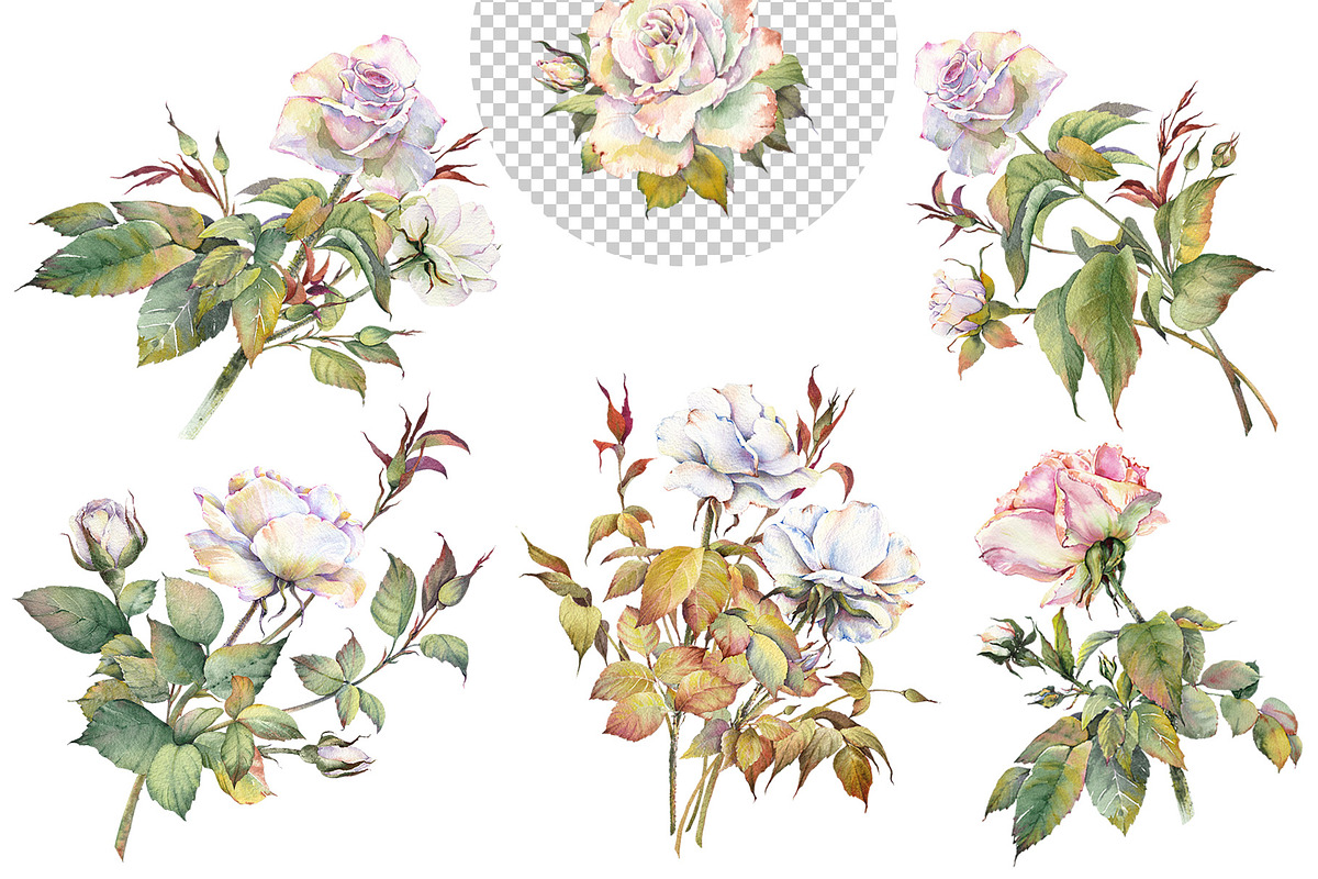 Romantic Watercolor Rose Clipart, a Decorative Illustration by Jeanna Draw (Photo 6 of 17)
