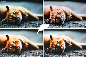 50 Pet Lightroom Presets Vol. I