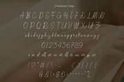 Reakity – Modern Elegant Signature, a Handwritten Font by BrandSemut (Thumbnail 11 of 11)