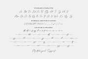 Fellaure - Modern Script, a Script Font by MJB Letters (Thumbnail 10 of 10)
