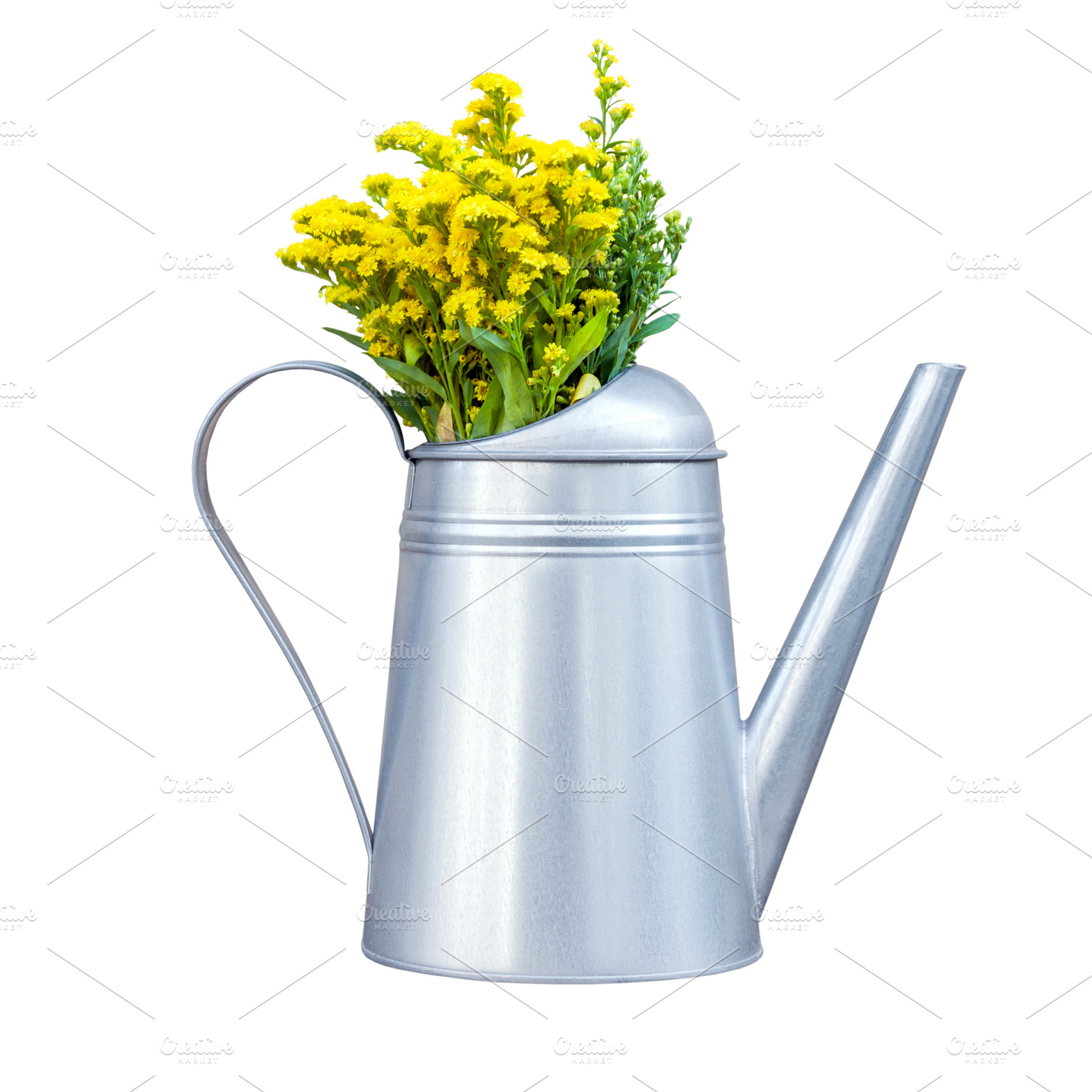 Watering-can with yellow wildflowers, a Nature Photo by BOOCYS