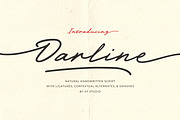 Darline Handwritten Font, a Script Font by Ef Studio (Thumbnail 1 of 15)