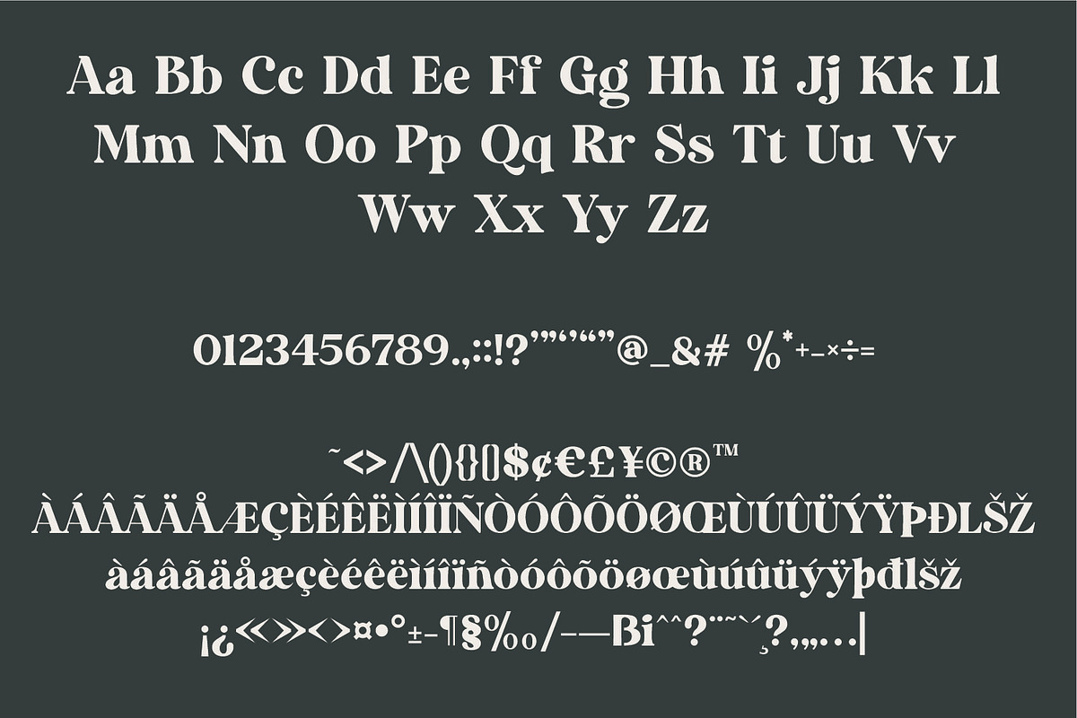 Lovely Bastilla | Retro Serif Font, a Serif Font by MchCrafter (Photo 17 of 18)