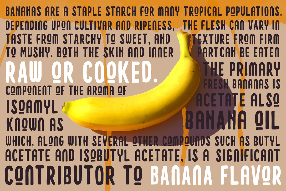 Holistic Font Duo preview 3