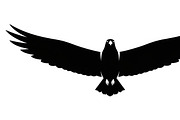 Powerful eagle flying wall art desig, an Illustration by Amazin_art (Thumbnail 8 of 31)