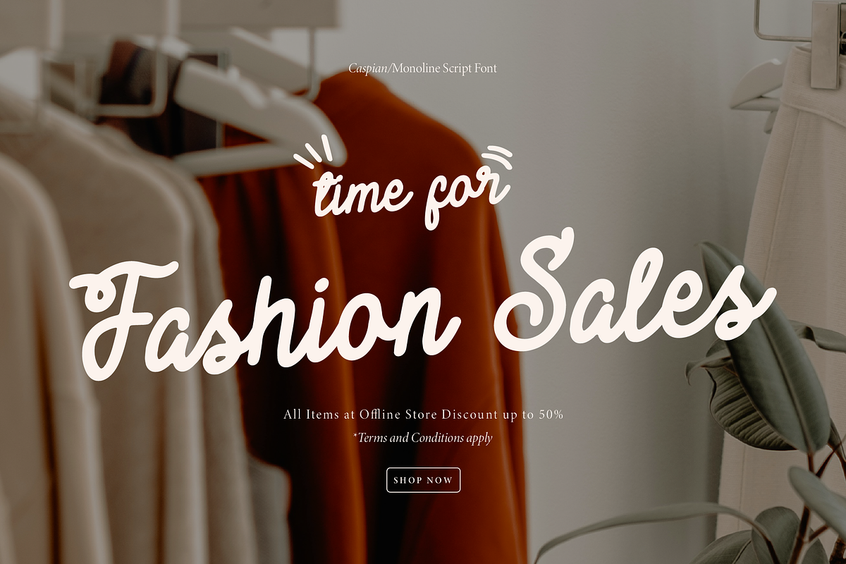 Caspian | Monoline Script, a Script Font by Denustudios (Photo 7 of 15)