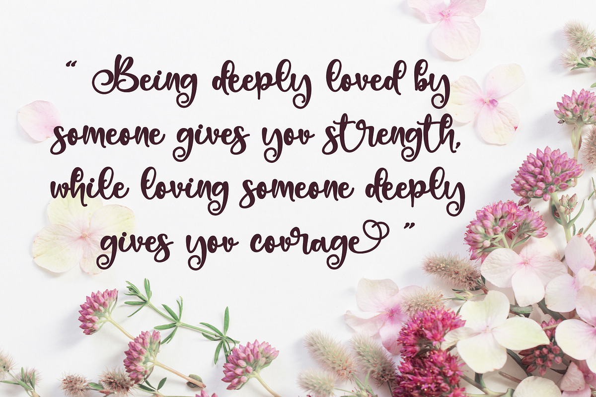 Bellissa, a Script Font by Letterara (Photo 3 of 10)