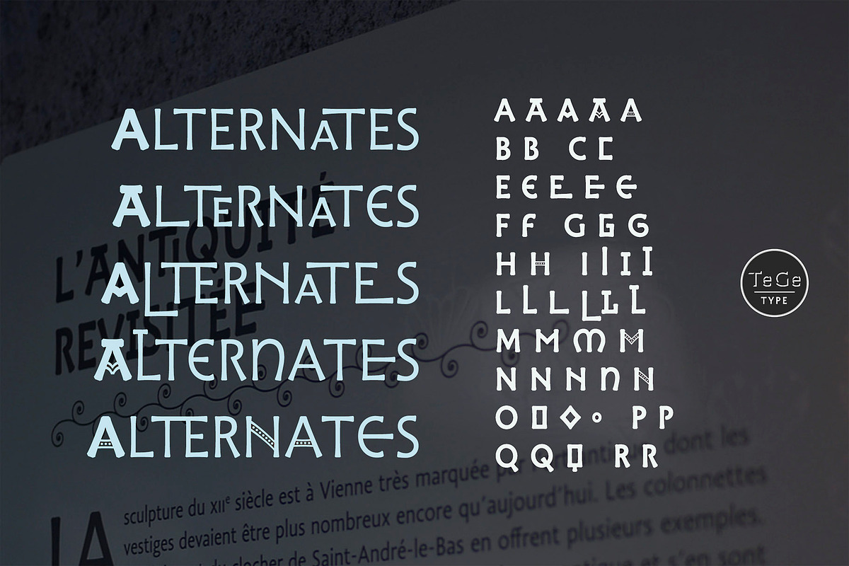 Dilectus, a Script Font by TeGeType foundry (Photo 7 of 8)