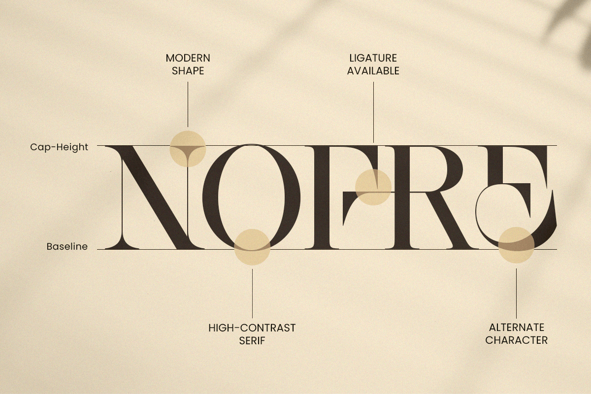 Erazer – Luxury High Contrast Serif, a Serif Font by Sensatype (Photo 10 of 12)