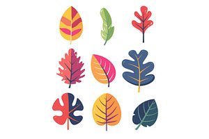Collection colorful autumn leaves, an Object Illustration by Vectorstockersland