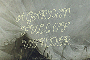 Wisteria Tale - Whimsical Script, a Handwritten Font by shineink.designlab (Thumbnail 4 of 14)