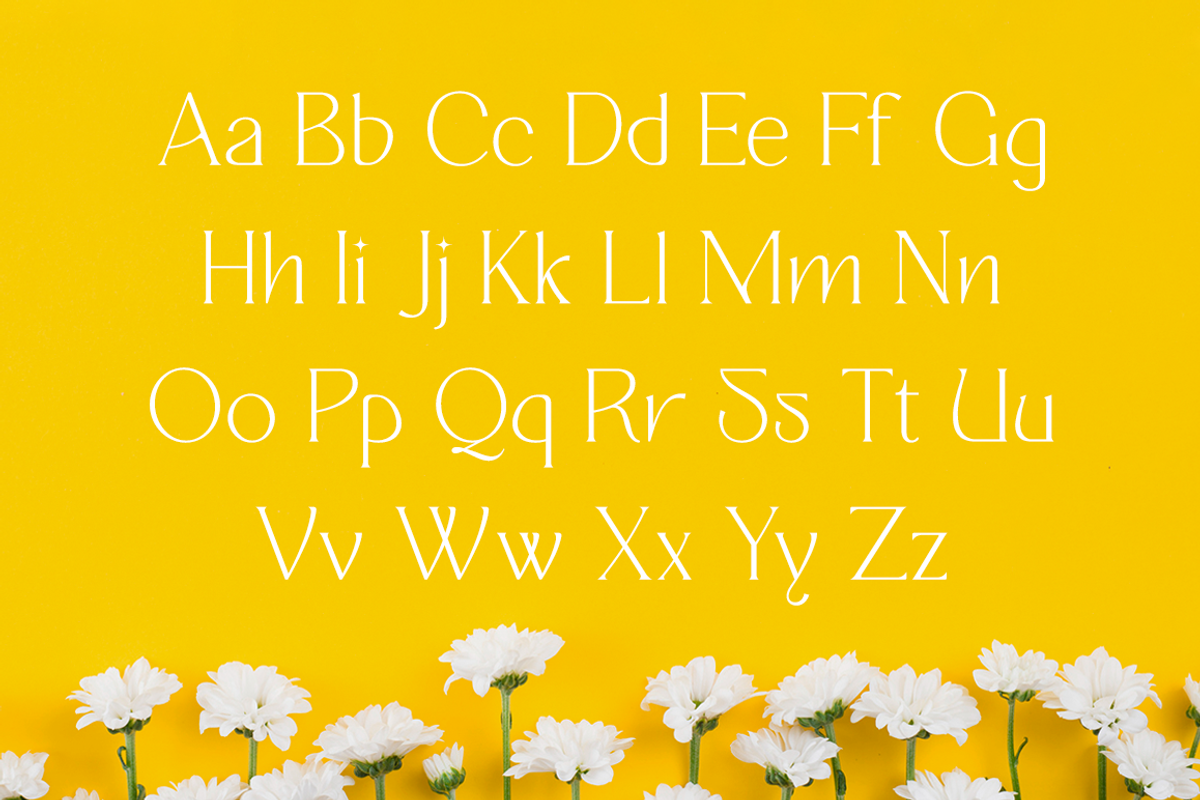 Quisking - Display Serif Font, a Font by RockboyStd (Photo 10 of 12)