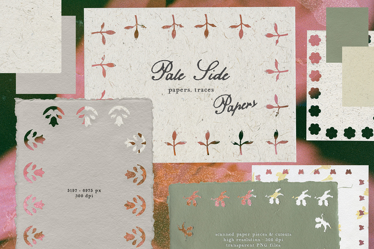 Pale Side: Papers, Flowers & Traces, an Object Graphic by Purple (Photo 11 of 16)