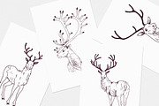 Deer sketch set, an Animal Illustration by Good Studio (Thumbnail 5 of 5)