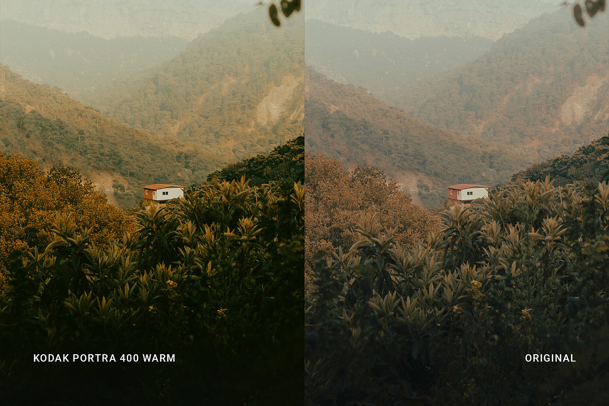 Kodak Portra 400 Warm — Lightroom, a Preset Add-On by colorituals (Photo 7 of 9)