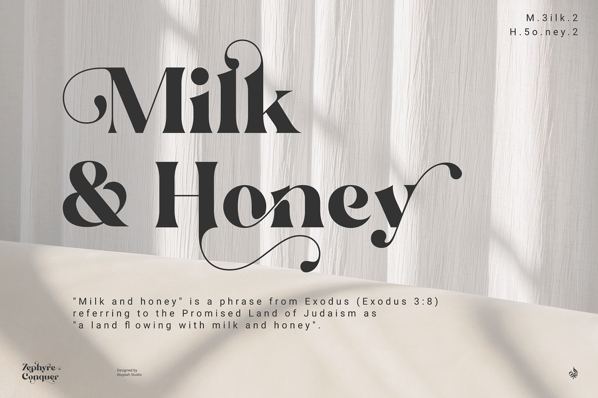 Zephyre Conquer, a Serif Font by Aluyeah Studio (Photo 8 of 15)