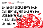 Scandinaufan Runes Font, a Serif Font by Fontcamp Type Foundry (Thumbnail 10 of 16)