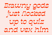 Quiros Pixel, a Serif Font by Craft Supply Co. (Thumbnail 5 of 8)