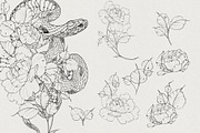 100illustrations Snakes with flowers, a Decorative Illustration by AnnaPolitmerskaja (Thumbnail 5 of 6)