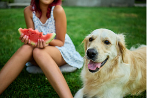 Teen girl enjoys watermelon outdoors, a Nature Photo by IlliaBondarPhotography