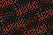 Hardvard Collegic Font, a Slab Serif Font by Tom Gordon Design (Thumbnail 2 of 3)