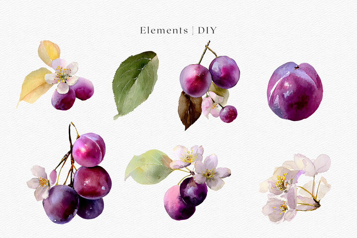 Watercolor Plum Bouquet Clipart, a Decorative Illustration by ThaismotaCreativeCo (Photo 2 of 12)