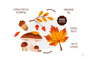 Autumn Forest Clipart Bundle, a Seasonal Illustration by vik.stock (Thumbnail 4 of 5)