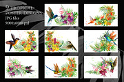 Watercolor Tropical plant & Bird, an Object Graphic by FineArt (Thumbnail 4 of 22)