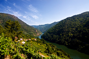 Sil Canyon landscape, Galicia, Spain