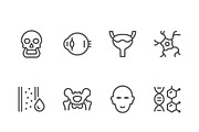 Set line icons of human organs, an Outline Icon by motorama (Thumbnail 1 of 2)