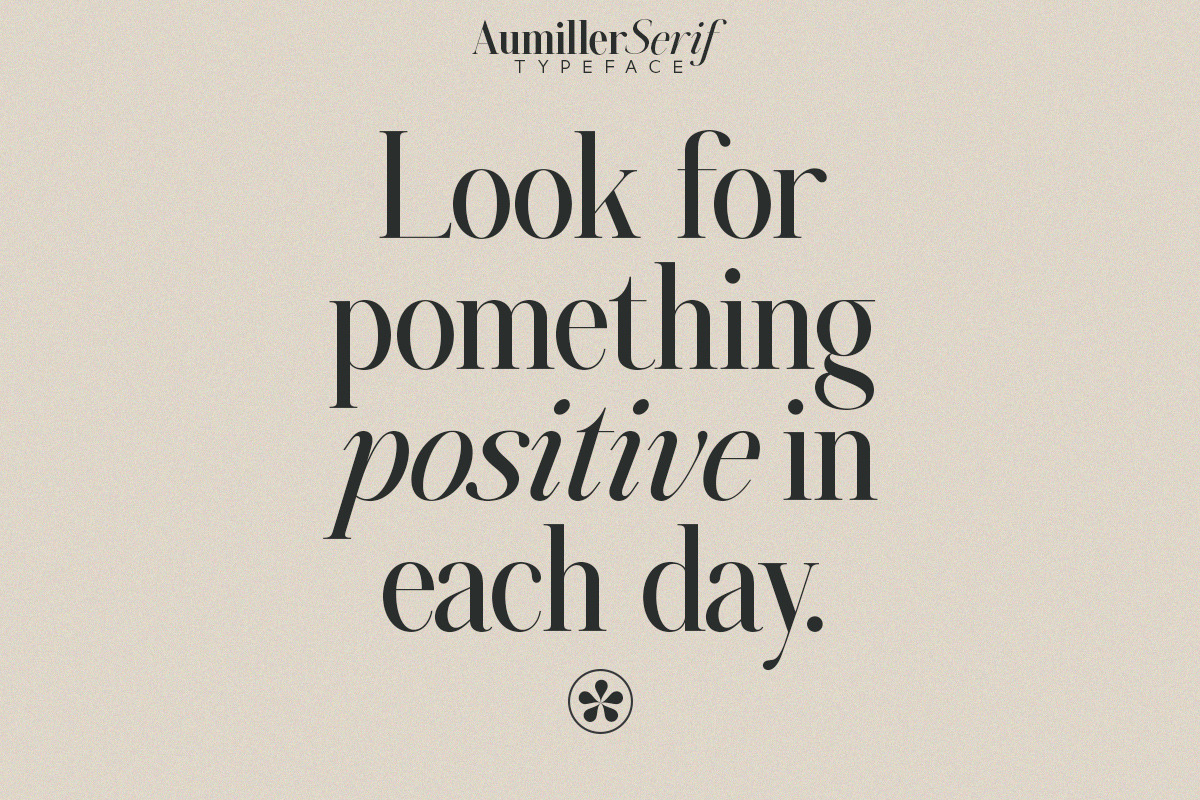 Aumiller Serif Family (18 Fonts), a Serif Font by Positive TypeFoundry (Photo 13 of 15)