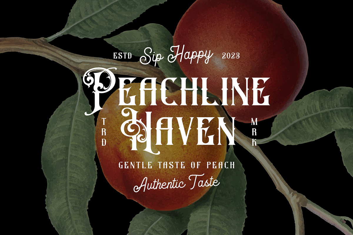 Brameson Spencer - Vintage Font, a Serif Font by Grezline Studio (Photo 5 of 12)