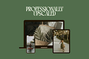 90 Olive Green Summer Stock Photos, a Photo by Incomelion (Thumbnail 7 of 9)