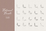 Botanical Bundle, a Decorative Illustration by Anatartan Design (Thumbnail 5 of 7)
