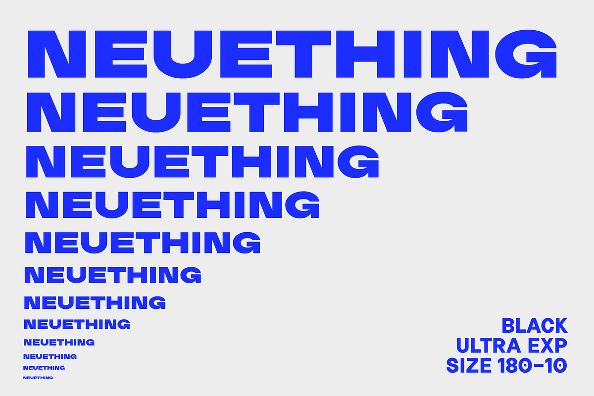 Neuething Sans Family: 30 Fonts, a Sans Serif Font by That That Creative (Photo 5 of 15)