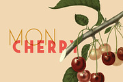 Saveur Sans, a Sans Serif Font by Arkitype (Thumbnail 8 of 15)