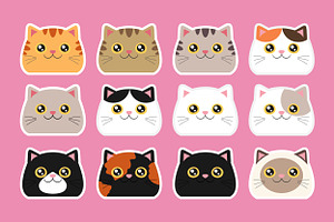 Cat Heads Of Different Colors