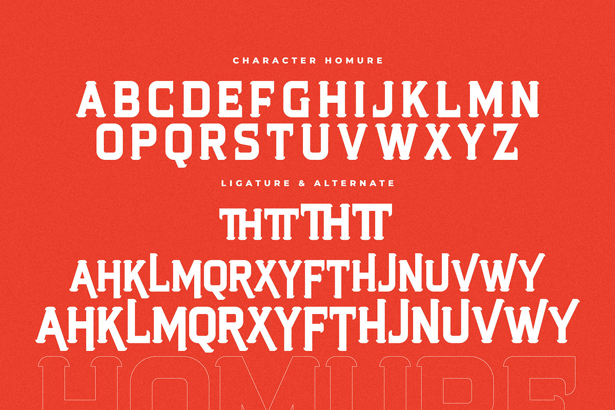 Homure New Display Serif Font, a Serif Font by Storytype Studio (Photo 13 of 15)