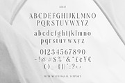 Amelia Harper Font Duo, a Serif Font by Letterhend Studio (Thumbnail 9 of 9)