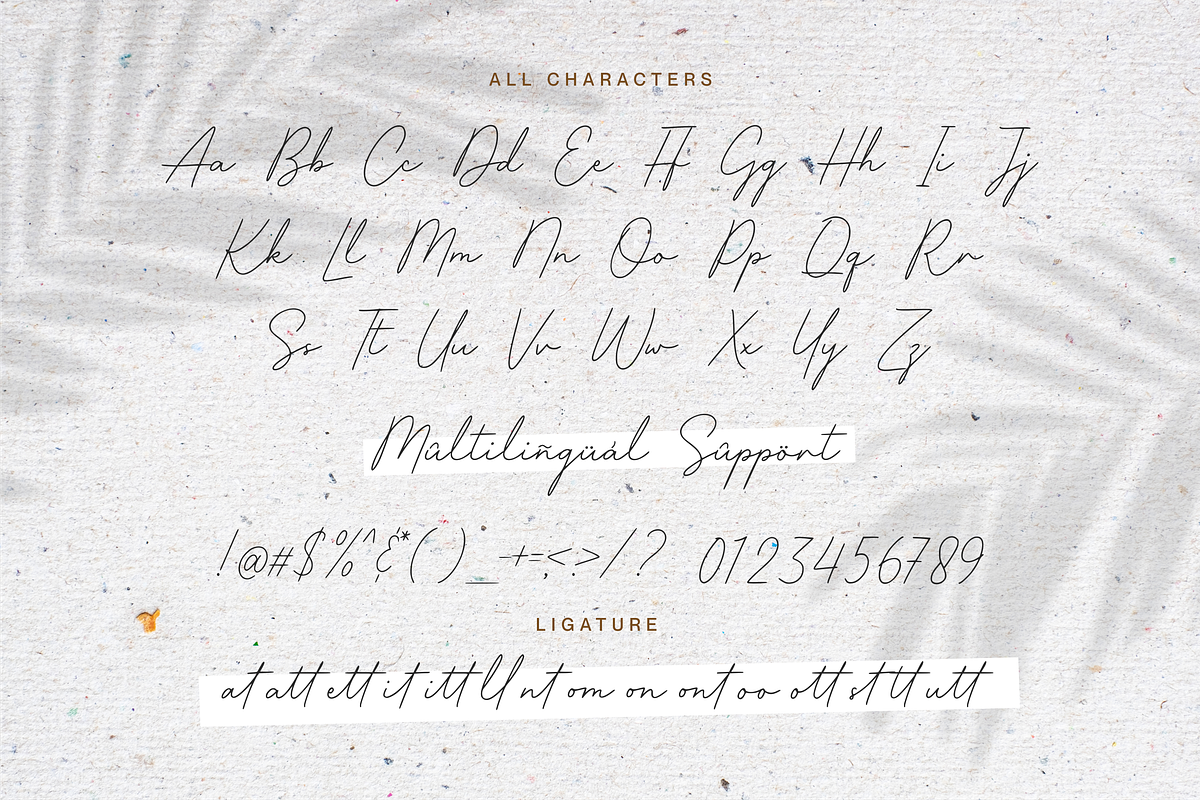 Shallifronthe A Monoline Script, a Script Font by Allouse Studio (Photo 9 of 10)